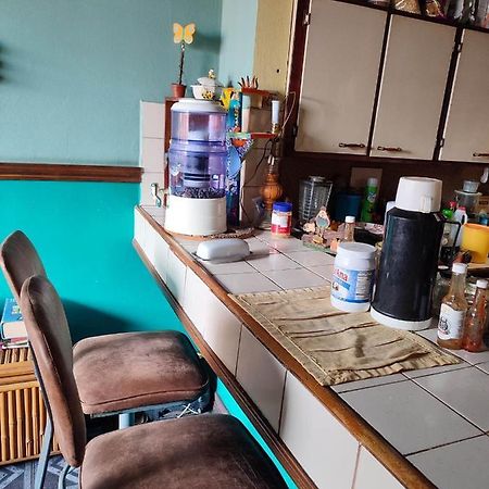 The Cozy Cactus House B&B Cartago Centro English Spoken Eksteriør billede