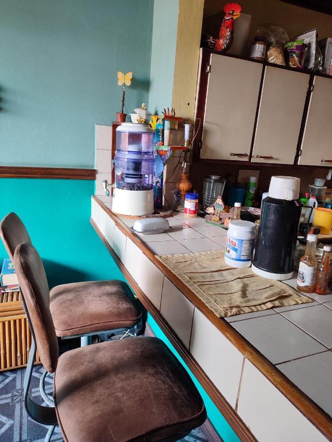 The Cozy Cactus House B&B Cartago Centro English Spoken Eksteriør billede